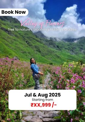 Valley-of-flowers